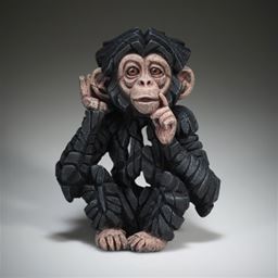 Baby Chimpanzee - Hear No Evil
