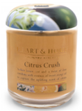 HH00000-05 Citrus Crush Large Candle 310g