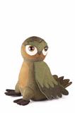 DD00000-14: Tawny Owl
